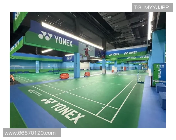 重庆羽毛球队转型升级之路探索与未来发展展望