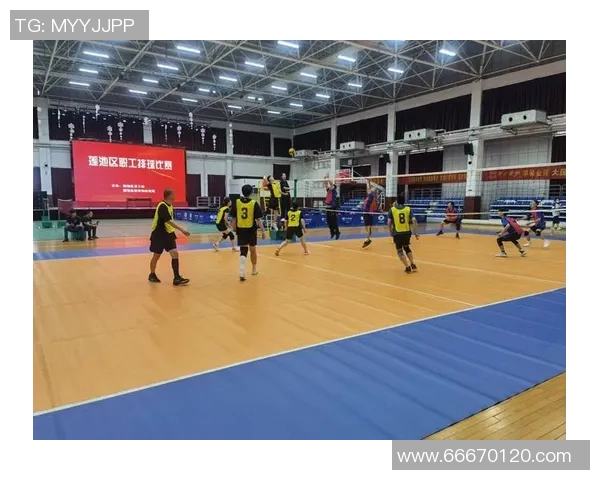 深圳排球队创新阵地战模式助力竞技水平提升与团队协作发展